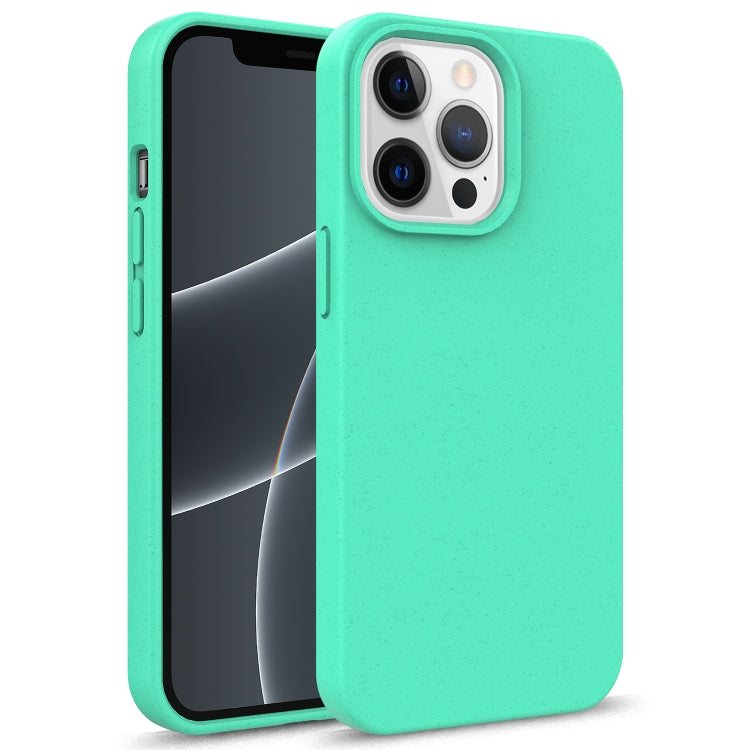 For iPhone 13 Starry Series Shockproof Straw Material + TPU Protective Case(Green) - iPhone 13 Cases by buy2fix | Online Shopping UK | buy2fix