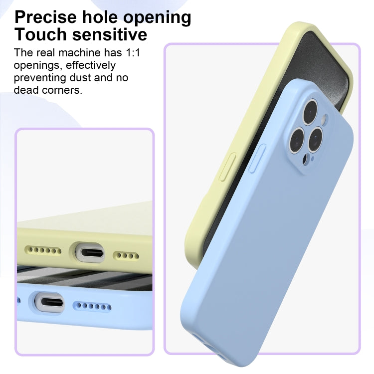 For iPhone 16 Plus Precise Hole Liquid Silicone Jelly Color Full Coverage Phone Case(Willow Green) - iPhone 16 Plus Cases by buy2fix | Online Shopping UK | buy2fix