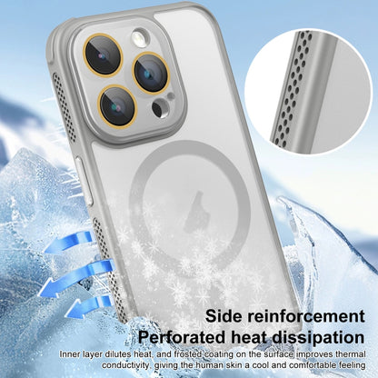 For iPhone 16 Pro Max Side Cooling Skin Feel Frosted MagSafe Magnetic Phone Case(Blue) - iPhone 16 Pro Max Cases by buy2fix | Online Shopping UK | buy2fix