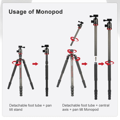 TRIOPO 888 Adjustable Portable Carbon Fiber Tripod with Q-2 Ball Head for SLR Camera, Pipe diameter: 28cm - Tripods by TRIOPO | Online Shopping UK | buy2fix