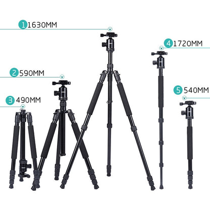 TRIOPO Oubao A-608S  Adjustable Portable  Aluminum Alloy Tripod with Ball Head for SLR Camera - Camera Accessories by TRIOPO | Online Shopping UK | buy2fix