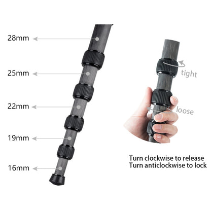 BEXIN P285-C Portable Travel Outdoor DSLR Camera Carbon Fiber Monopod Holder (Black) - Camera Accessories by BEXIN | Online Shopping UK | buy2fix