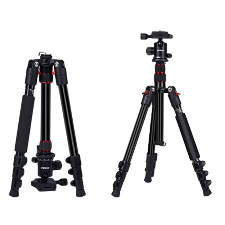 TRIOPO K2508S+B1S Adjustable Portable  Aluminum Alloy Tripod with Ball Head for SLR Camera(Red) - Camera Accessories by TRIOPO | Online Shopping UK | buy2fix