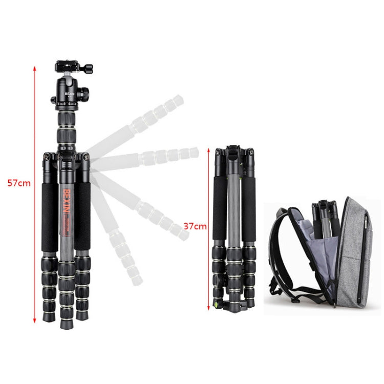 BEXIN BX285C K36 Portable Carbon Fiber Tripod for Dslr Digital DV Camcorder - Tripods by BEXIN | Online Shopping UK | buy2fix