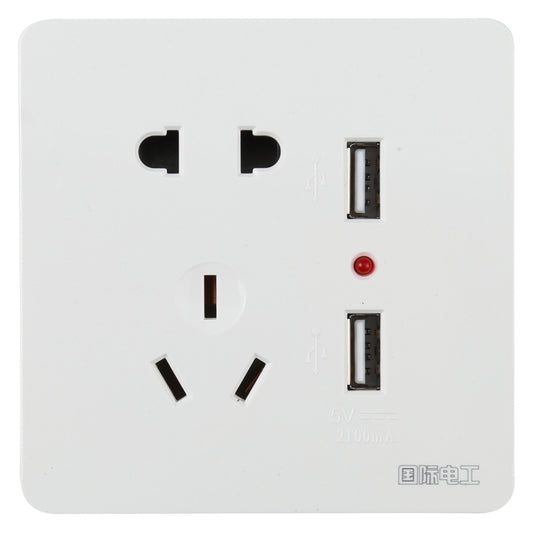 Universal Standard Wall Socket with 2 x USB Ports - Consumer Electronics by buy2fix | Online Shopping UK | buy2fix