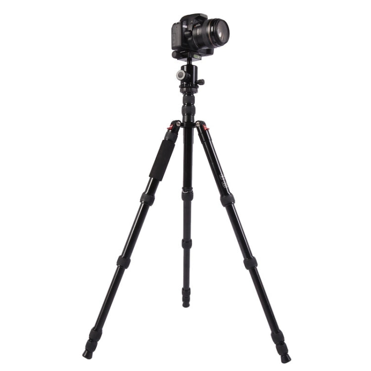 Triopo MT-2805C Adjustable Portable Aluminum Tripod with NB-2S Ball Head for Canon Nikon Sony DSLR Camera(Black) - Camera Accessories by TRIOPO | Online Shopping UK | buy2fix