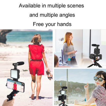 KIT-01LM 3 in 1 Video Shooting LED Light Portable Tripod Live Microphone, Specification:Battery Models - Consumer Electronics by buy2fix | Online Shopping UK | buy2fix